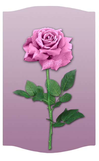 DNSLOG C 083 PK New Pink Rose  